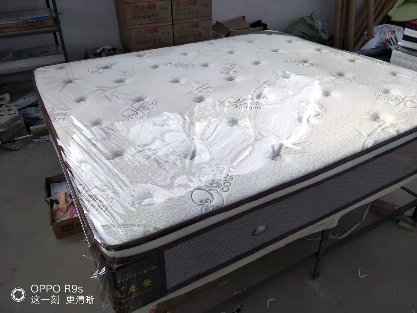 ͥ泧ϵʽ