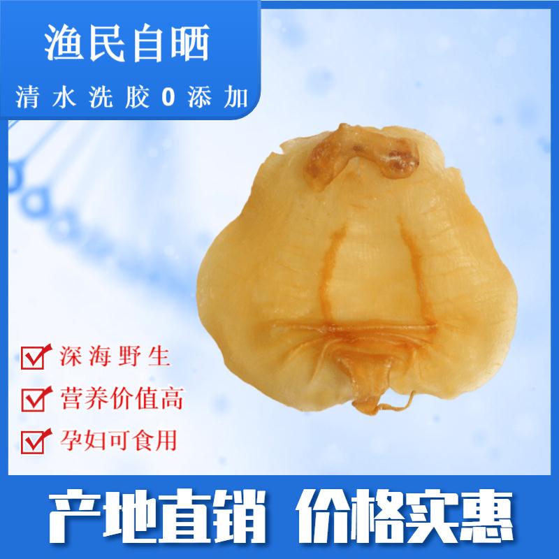 ݻ۸20ͷҰ׻۸