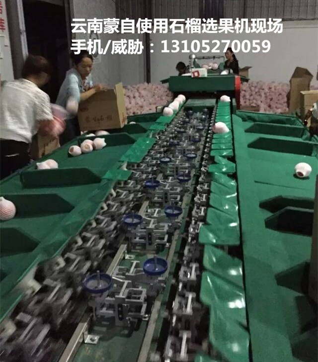 ʯԶѡʯѡСˮѡ