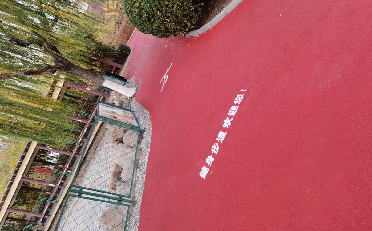 ȫܽܵϳɹ׿